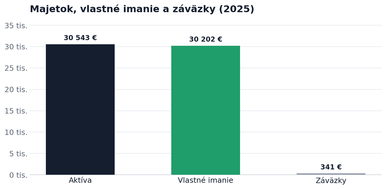 Majetok, vlastné imanie a záväzky 2025