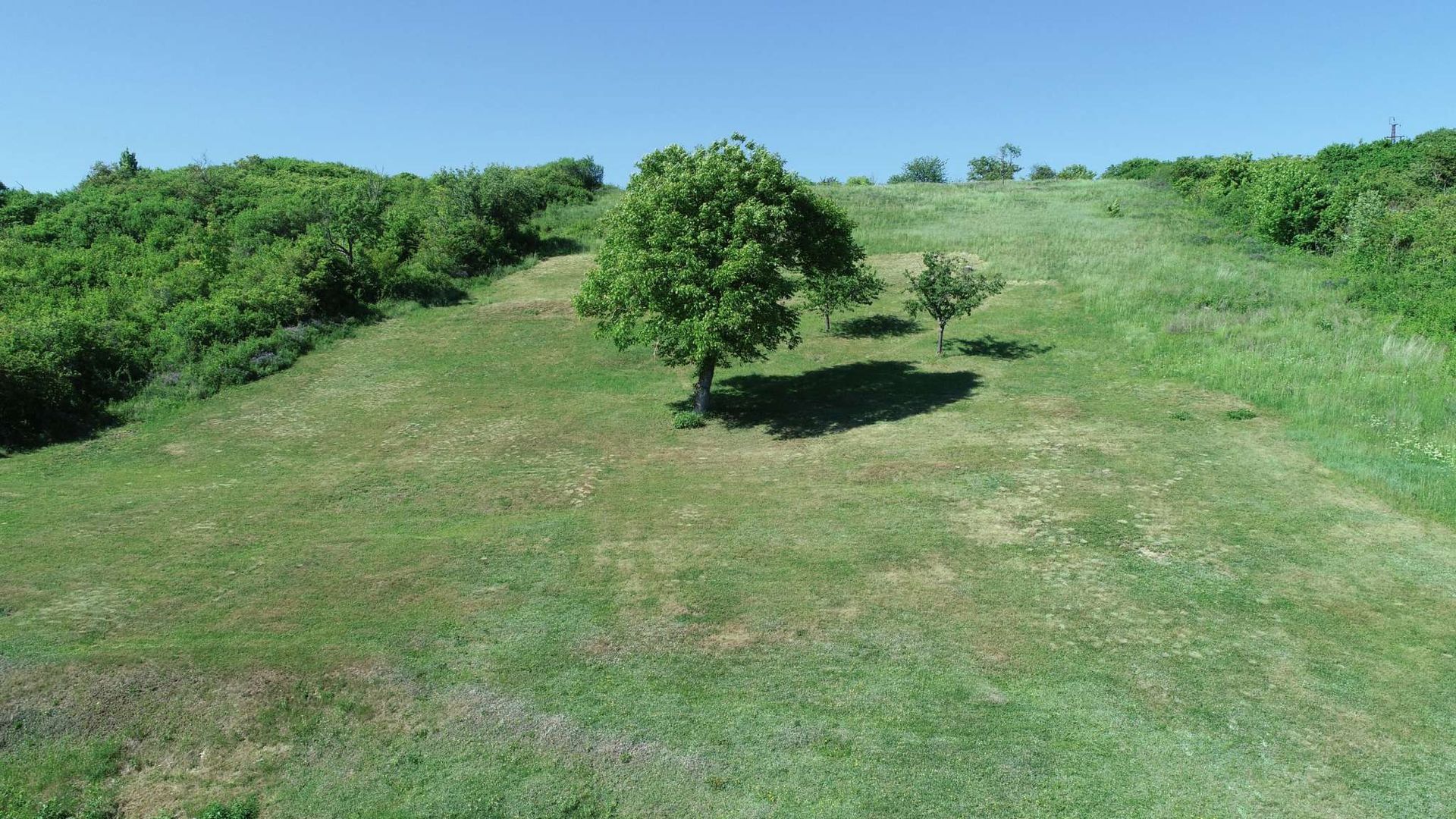Penzión Bakchus – pozemok vyše 8 000 m² na južnom svahu